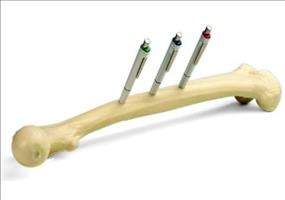 Oberschenkelknochen- Stifthalter 