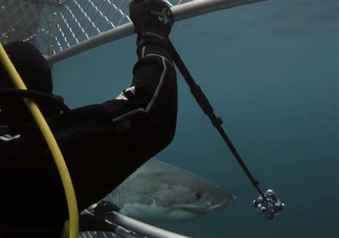 Die neue 360 Grad Kamera mit Haien testen