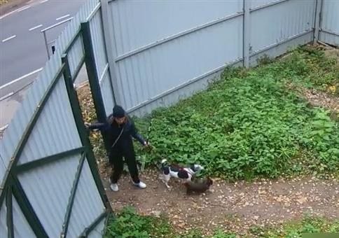 Wenn das Taxi kommt... 