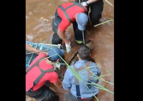 Feuerwehr rettet Anakonda