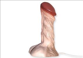 Die erotische Pimmel Lampe