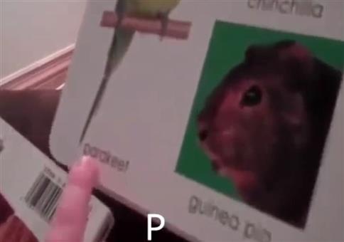 So jung und kann schon buchstabieren