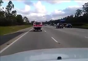 Schnelle Taube auf der Autobahn