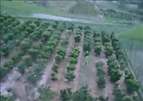 Abstürzen mit dem Heißluftballon und Spaß dabei