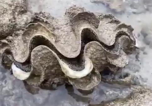 Man sollte nicht einfach alles anfassen was man sieht