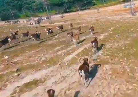 Er hat keinen Bock auf Drohnen