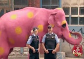 Da läuft ein rosa Elefant über sie Straße!