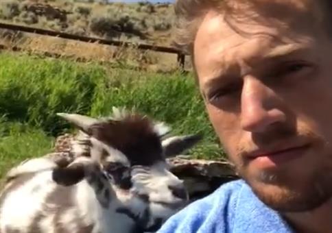 Diskussion zwischen Mensch und Ziege