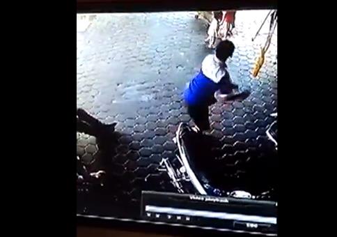 Praktisch wenn dein Papa ninjahafte Reflexe hat