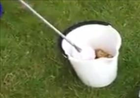 Lifehack: Sack Kartoffeln schälen in unter 30 Sekunden