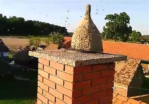 Was summt denn da im Schornstein?