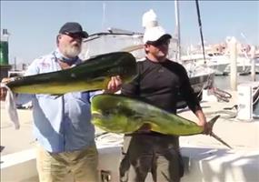 Was für ein riesiger Fang!