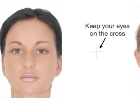 Garaniert nur hübsche Gesichter