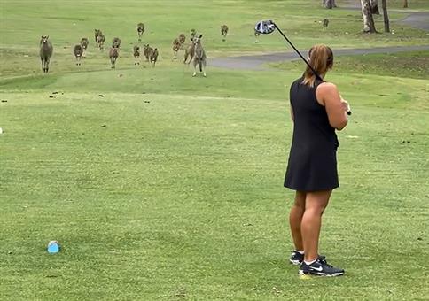 Hoppelnde Zuschauer beim Golf