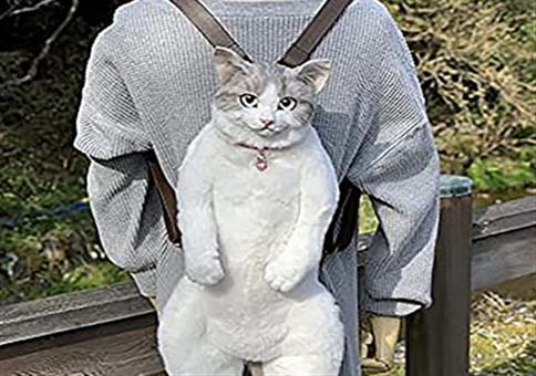 WTF? Katze für den Rücken 🙀🙀🙀