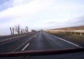 Vogelschwarm auf Autobahn