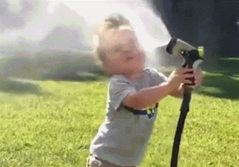 Hornoxe.com - Gifdump #287 - Animierter Picdump