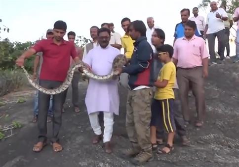 Selfie mit einer Python Schlange