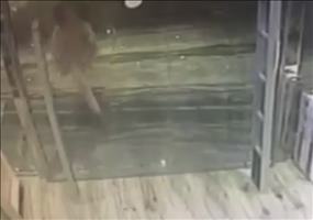 Mit Anlauf durch die Glastür