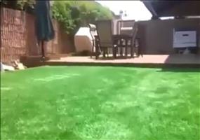 So versteckt man einen Swimming Pool im Garten