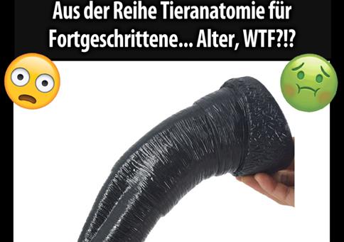 Realistischer Elefanten Dildo
