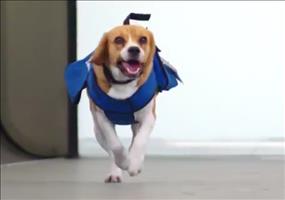 Verlorene Dinge am Flughafen