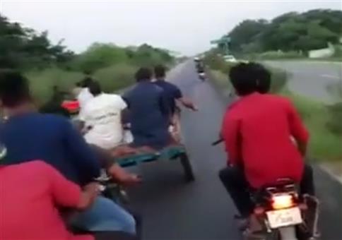 Instant Karma beim Büffeltreiben