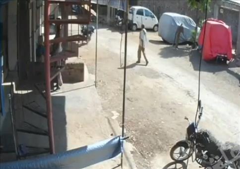 Der Ninja Affe mischt alle auf