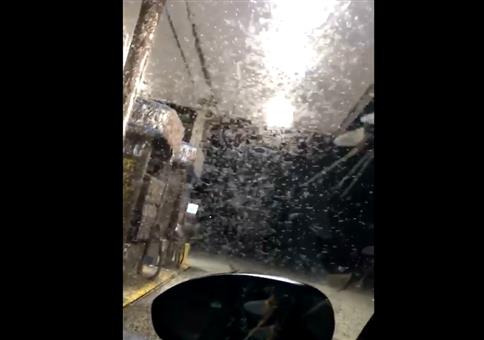 Insektenplage an der Tankstelle