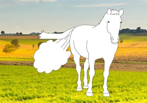 Furzende Pferde - Das Malbuch