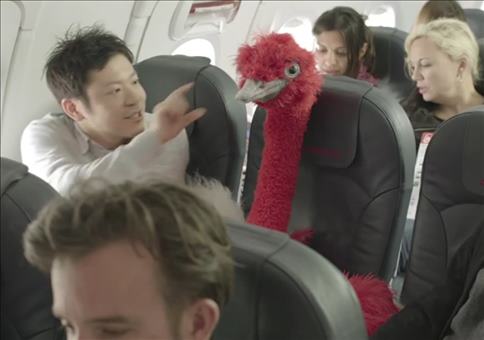 Der Wenigflieger - eine raffinierte Spezies