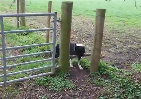 Ich komm hier nicht raus!