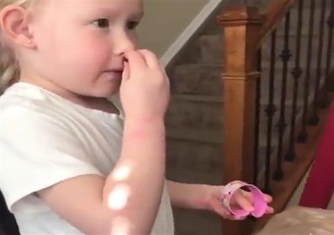 Schokolade oder Hundefutter?