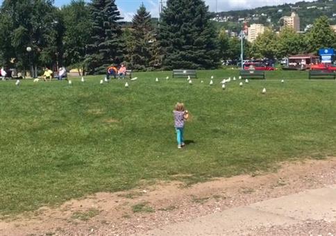 Bruder ärgert seine Schwester mit Vögeln