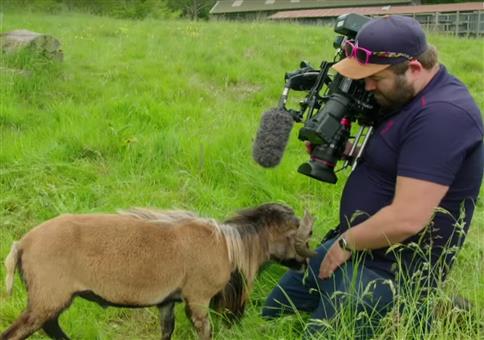 Ein BBC Kameramann braucht Eier aus Stahl