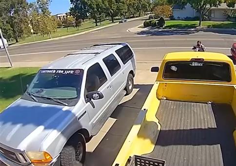 Farbige Rache an den Kat Dieben