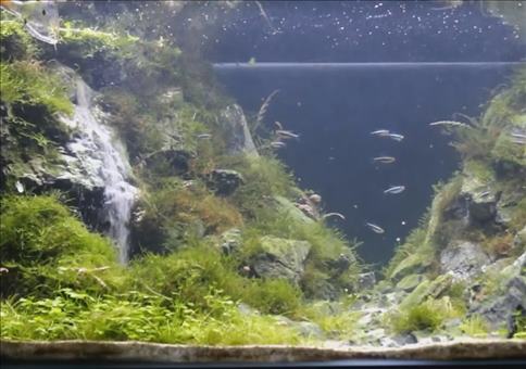Ein Wasserfall im Aquarium