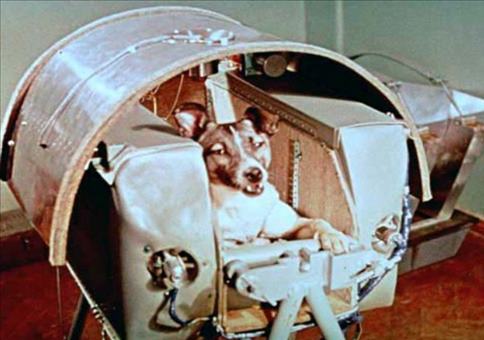 Historische Fotos Teil 24