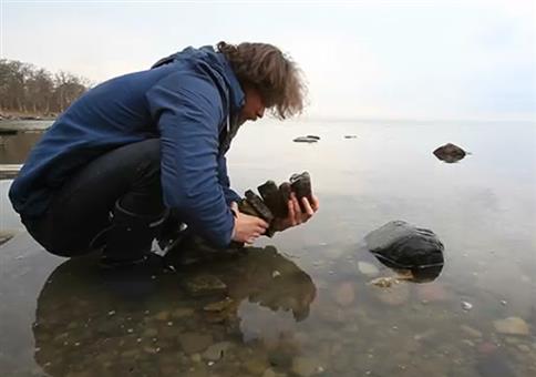 How to: Ein kleine Steinbrücke bauen