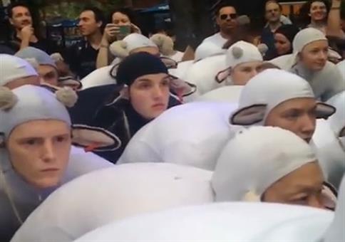 WTF zum Wochenstart: Schafherde