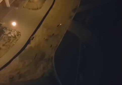 Hunde mit dem Laserpointer trollen