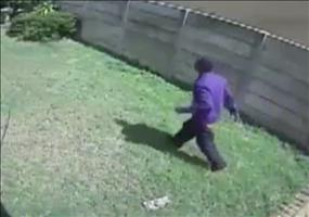 Einbrecher VS Kampfhund