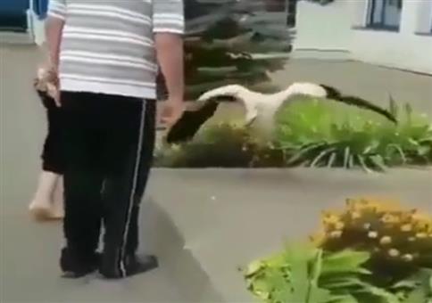 Mit dem Storch kuscheln