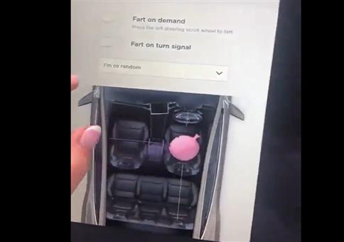 Furzkissen Easteregg im Tesla