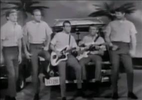 Beach Boys Unplugged