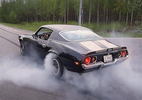 Hornoxe.com - Gifdump #236 - Animierter Picdump