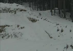 Reh feiert seinen zweiten Geburtstag