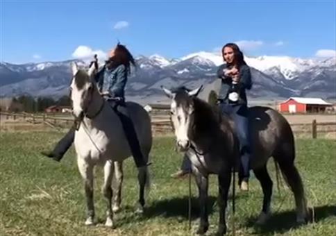 Ne Pulle Sekt beim Reiten köpfen