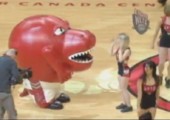 Raptor Maskottchen frisst Cheerleader