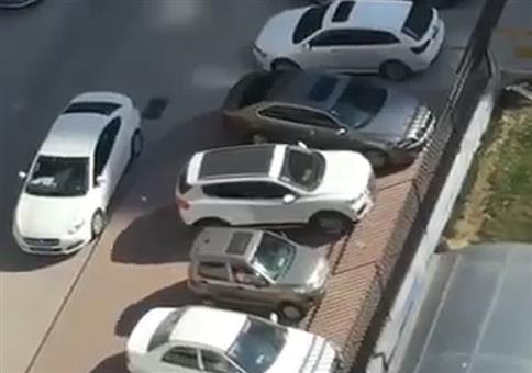 Profi Auspark Skills